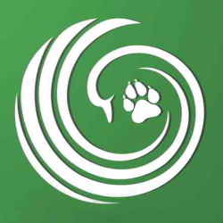 company logo