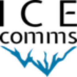 company logo