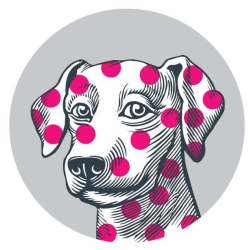 company logo