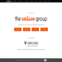 company logo