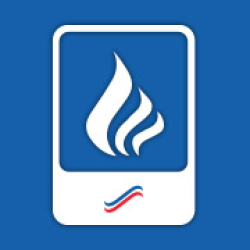 company logo