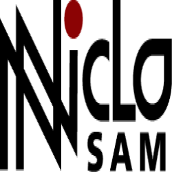 company logo