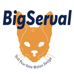 company logo