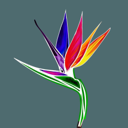 company logo