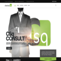 company logo