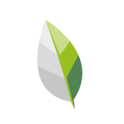 company logo