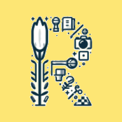company logo