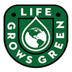 company logo