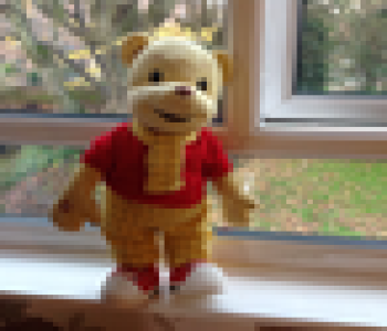user image