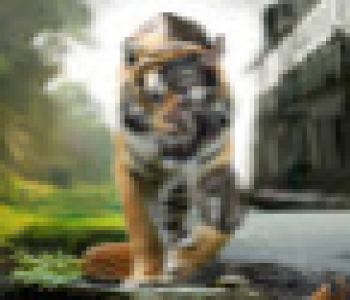 user image