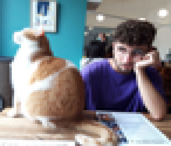 user image