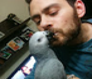 user image