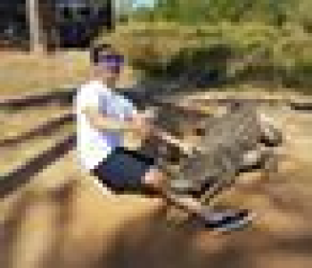 user image