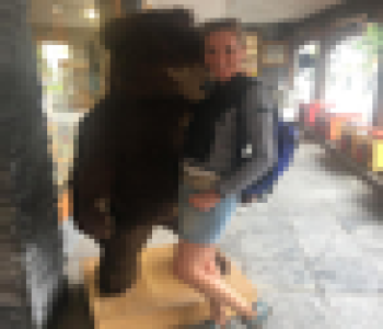 user image